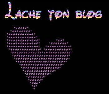 Lache ton blog