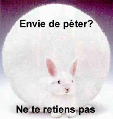 Envie